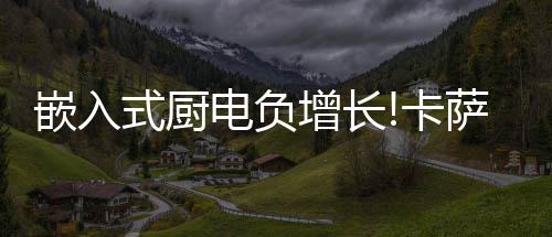 增长增长电器零距离嵌入
