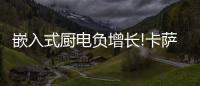 嵌入式厨电负增长!卡萨帝：唯一逆势增长份额创新高