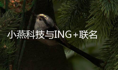 传感器等也一应俱全