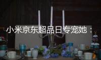 快排公司十年历程，霸屏兔 seo 的崛起与坚守