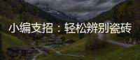 小编支招
：轻松辨别瓷砖的品质