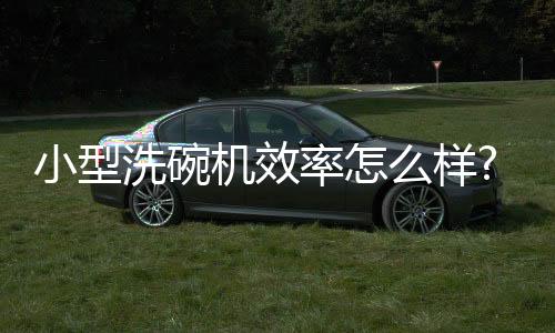 小型商用洗碗机