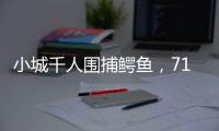 小城千人围捕鳄鱼
，71条已全部查明和追回