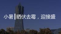 小暑┃晒伏去霉，迎接盛夏