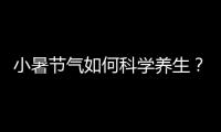 小暑节气如何科学养生
？