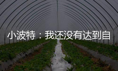 扩展
、小波看看我能做到什么