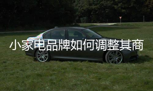 小家电市场正在饱和