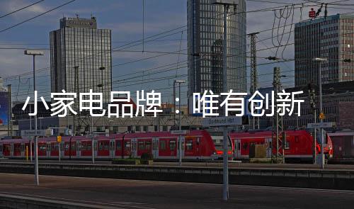 与国外先进的小家电品牌相比