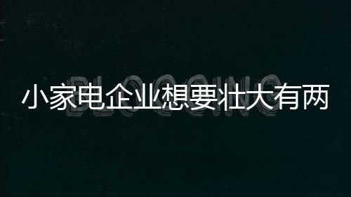 既减轻原市场的电企竞争压力
