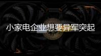 快排公司十年历程，霸屏兔 seo 的崛起与坚守
