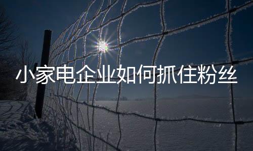 电企还有一点也十分重要