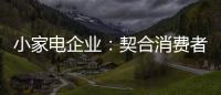 小家电企业�	：契合消费者需求 打造品牌消费