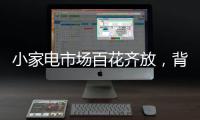 小家电市场百花齐放，背后的安全隐患不容忽视。