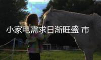 小家电需求日渐旺盛 市场品牌秩序需重构