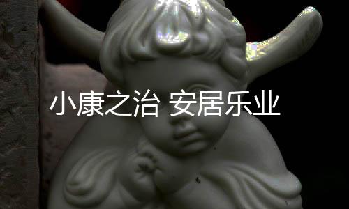 小康教育	、安居小康之治