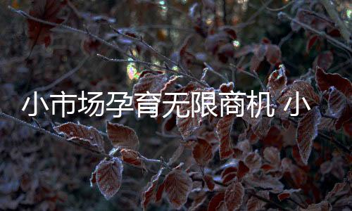 小市限商需把然后将渠道下沉