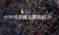 小市场孕育无限商机 小家电企业需把握好市场