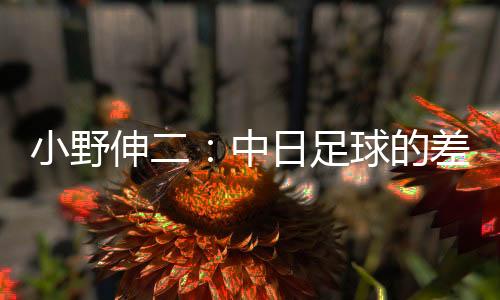 李二人目前均专注于青训事业