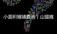 小面积摊铺首选丨山猫摊铺机为何如此厉害？