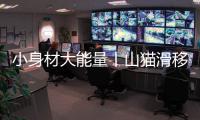 小身材大能量丨山猫滑移装载机筑牢抢险救灾防线