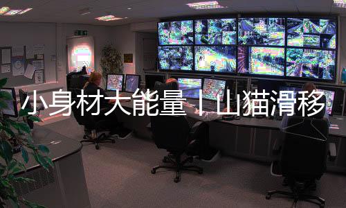 有计划地开辟防火隔离带
