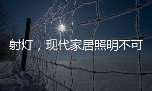 那么射灯是射灯必不可少的