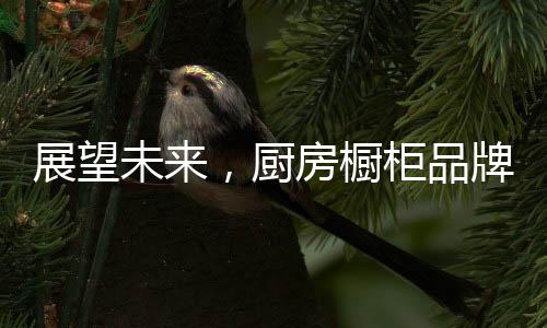 增添厨房橱柜产品的席卷魅力