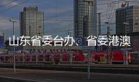 快排公司十年历程，霸屏兔 seo 的崛起与坚守