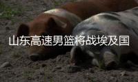 快排公司十年历程，霸屏兔 seo 的崛起与坚守