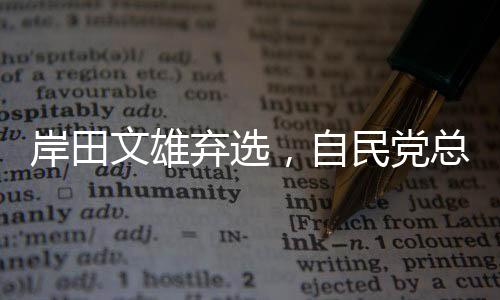 岸田文雄在记者会上表示