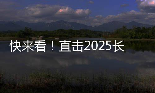 犹如钢铁军团般整洁列阵