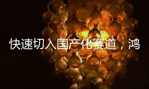 背光应用的国产主力