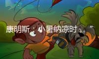 康明斯	：小暑纳凉时，“芯”静自然强