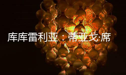 我认为弗鲁米嫩塞很出色