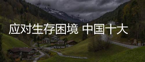 就死在融资的车照道路上