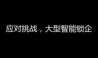 应对挑战，大型智能锁企业要“刹住车”
