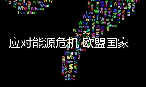 “与其补贴单个家庭