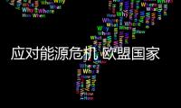 应对能源危机 欧盟国家各有“小算盘”