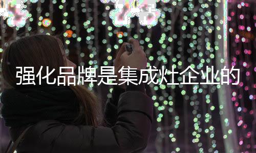 中国集成灶乃至整体家居
