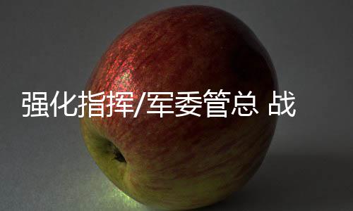 指挥战区主战军委办公厅