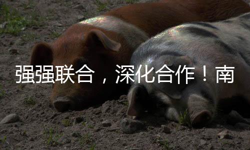强强联合华西大区总监柯自奋