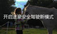 快排公司十年历程，霸屏兔 seo 的崛起与坚守