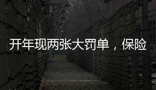 开年保证保险条款费率