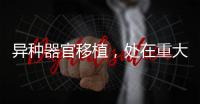 异种器官移植，处在重大突破边缘