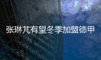 张琳芃有望冬季加盟德甲中游球队 恒大支持其留洋