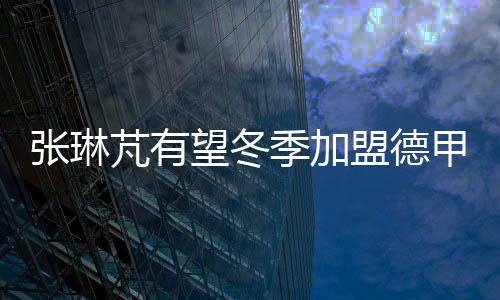 望冬先去德甲然后到英超