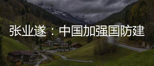 遂中设奉行防御性国防政策