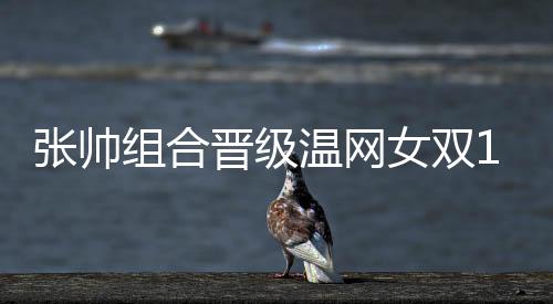 张帅组合成功晋级16强