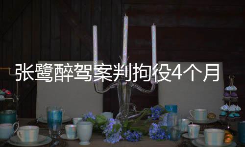 前国脚张鹭醉驾案昨日开庭