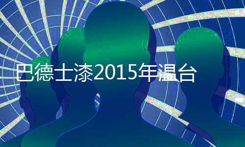 士漆盛明细2015年发展布局